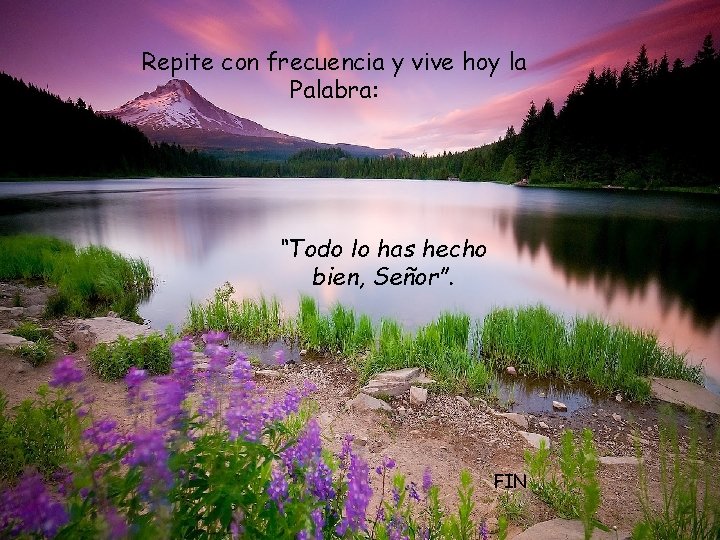 Repite con frecuencia y vive hoy la Palabra: “Todo lo has hecho bien, Señor”.