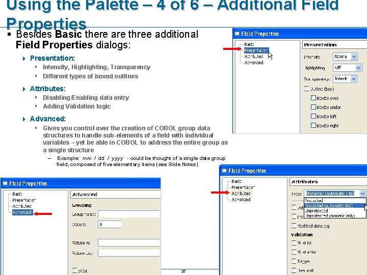 Using the Palette – 4 of 6 – Additional Field Properties § Besides Basic