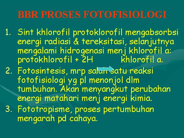 BBR PROSES FOTOFISIOLOGI 1. Sint khlorofil protoklorofil mengabsorbsi energi radiasi & tereksitasi, selanjutnya mengalami