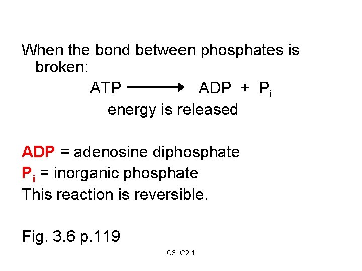When the bond between phosphates is broken: ATP ADP + Pi energy is released