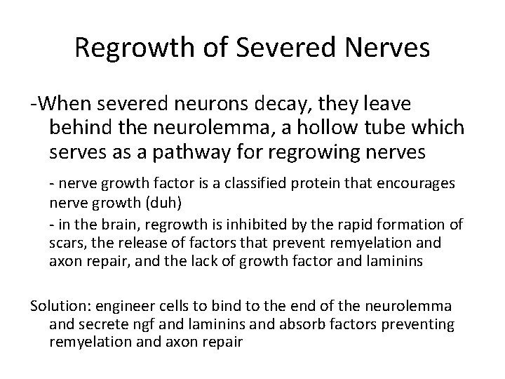 Regrowth of Severed Nerves -When severed neurons decay, they leave behind the neurolemma, a