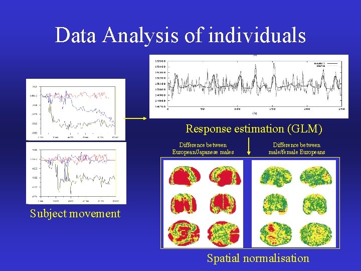 Data Analysis of individuals Response estimation (GLM) Difference between European/Japanese males Difference between male/female