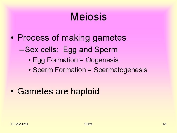 Meiosis • Process of making gametes – Sex cells: Egg and Sperm • Egg