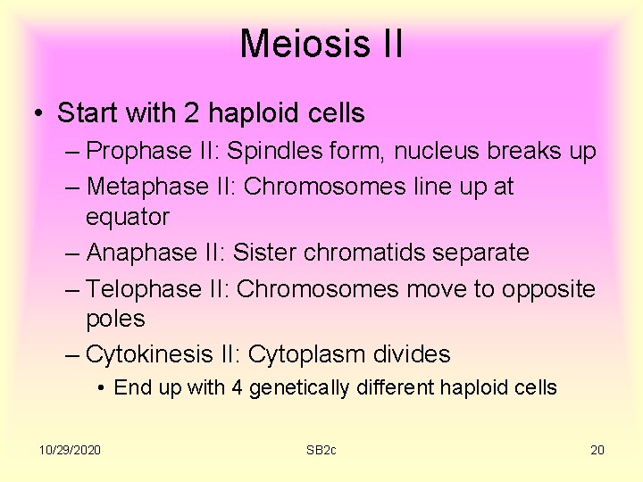 Meiosis II • Start with 2 haploid cells – Prophase II: Spindles form, nucleus