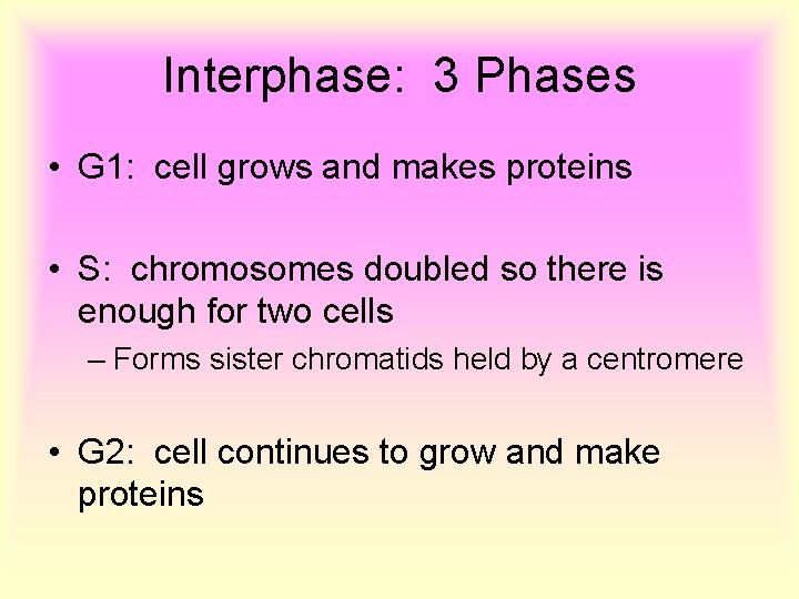 Interphase: 3 Phases • G 1: cell grows and makes proteins • S: chromosomes