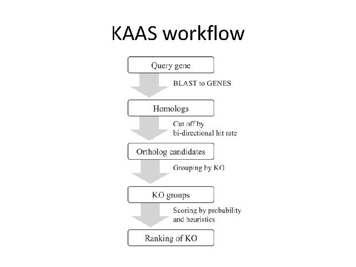 KAAS workflow 