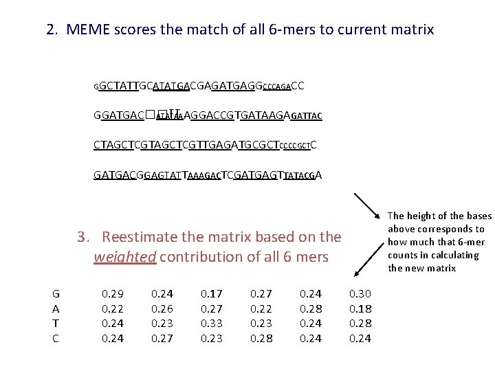 2. MEME scores the match of all 6 -mers to current matrix GGCTATTGCATATGACGAGATGAGGCCCAGACC GGATGAC��TT