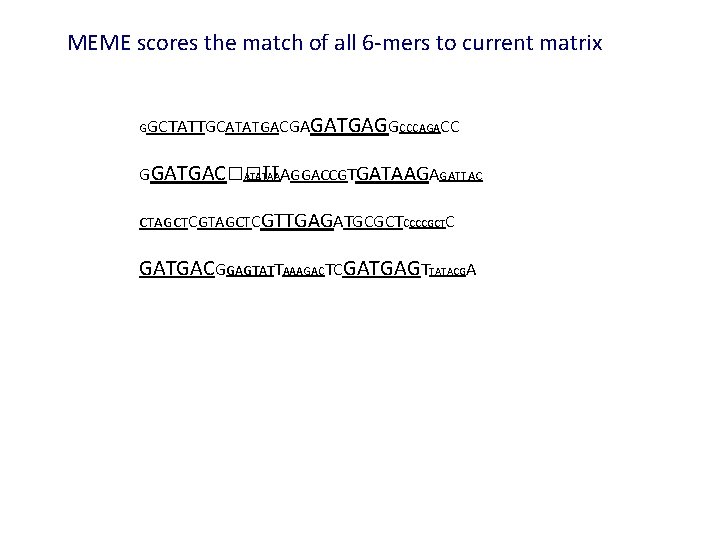 MEME scores the match of all 6 -mers to current matrix GGCTATTGCATATGACGA GATGAGGCCCAGACC GGATGAC��TT