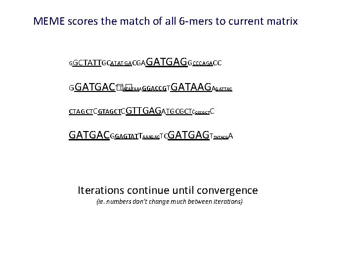 MEME scores the match of all 6 -mers to current matrix GGCTATTGCATATGACGA GATGAGGCCCAGACC GGATGAC��