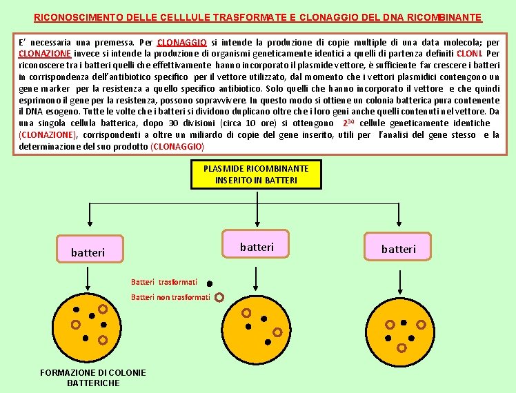 RICONOSCIMENTO DELLE CELLLULE TRASFORMATE E CLONAGGIO DEL DNA RICOMBINANTE E’ necessaria una premessa. Per