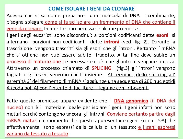 COME ISOLARE I GENI DA CLONARE Adesso che si sa come preparare una molecola