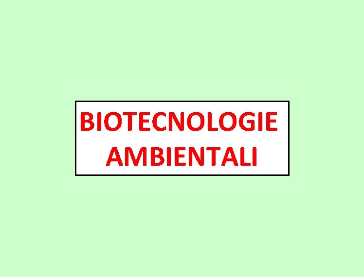 BIOTECNOLOGIE AMBIENTALI 