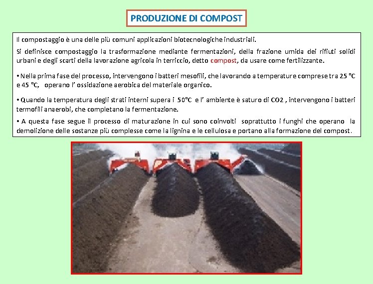 PRODUZIONE DI COMPOST Il compostaggio è una delle più comuni applicazioni biotecnologiche industriali. Si