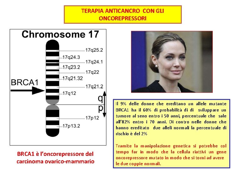 TERAPIA ANTICANCRO CON GLI ONCOREPRESSORI Il 9% delle donne che ereditano un allele mutante