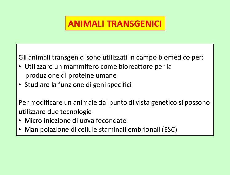 ANIMALI TRANSGENICI Gli animali transgenici sono utilizzati in campo biomedico per: • Utilizzare un