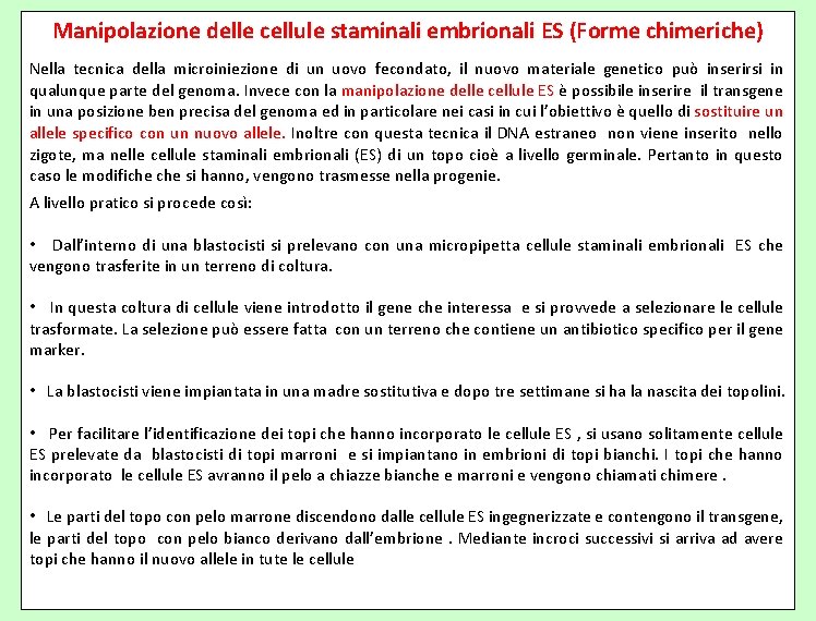 Manipolazione delle cellule staminali embrionali ES (Forme chimeriche) Nella tecnica della microiniezione di un
