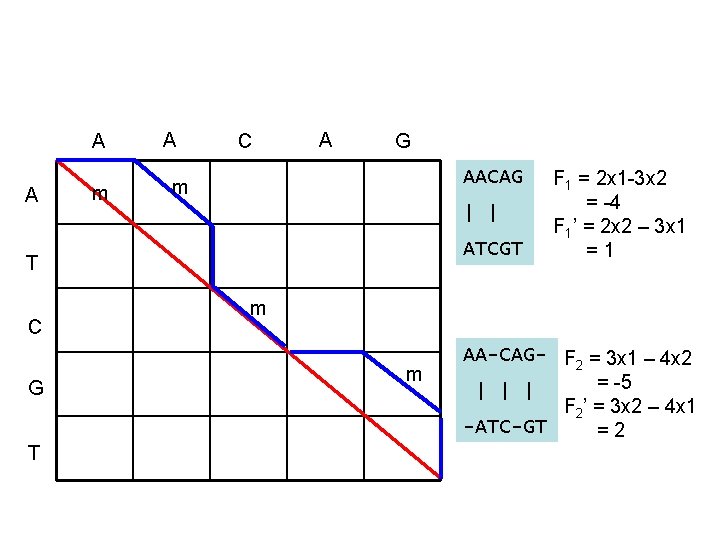 A A m A C A G AACAG m | | ATCGT T C