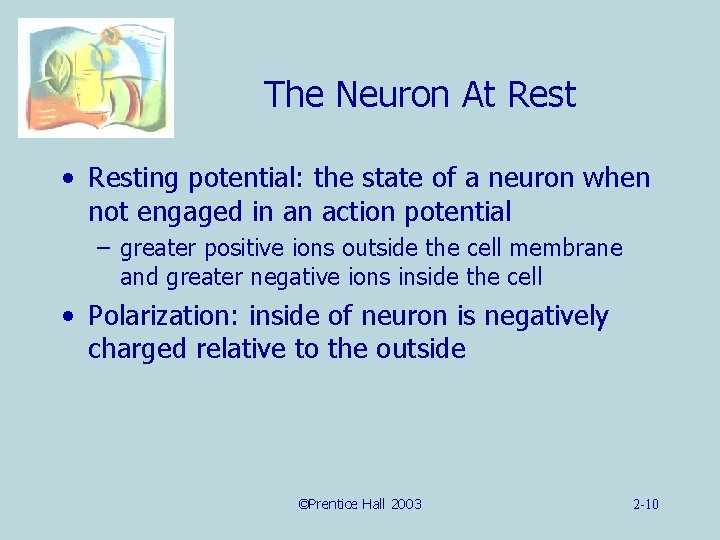 The Neuron At Rest • Resting potential: the state of a neuron when not