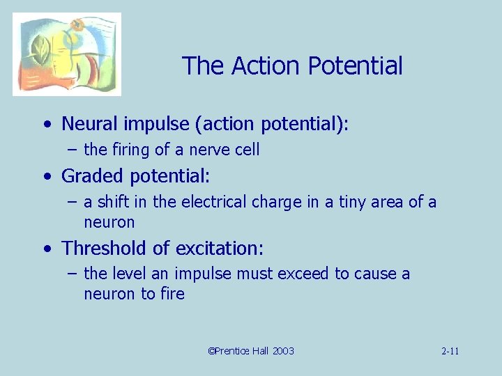 The Action Potential • Neural impulse (action potential): – the firing of a nerve