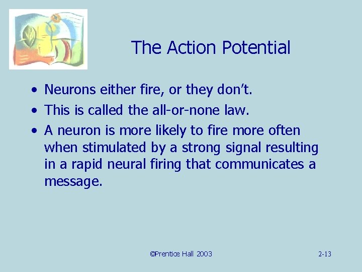 The Action Potential • Neurons either fire, or they don’t. • This is called