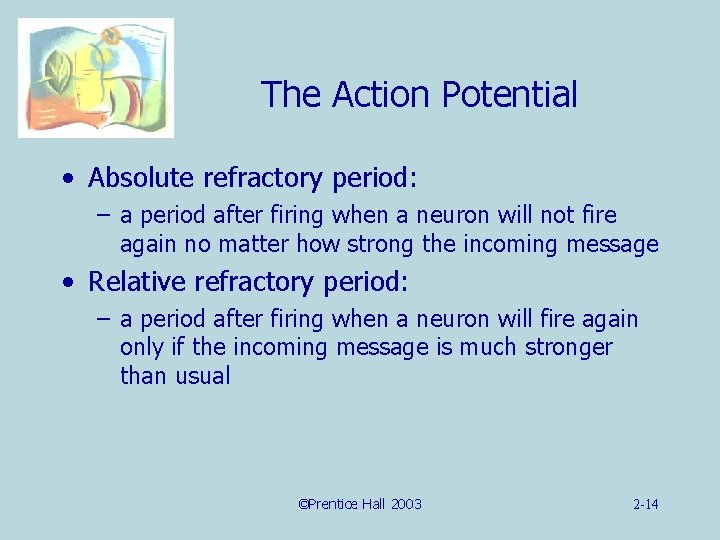 The Action Potential • Absolute refractory period: – a period after firing when a