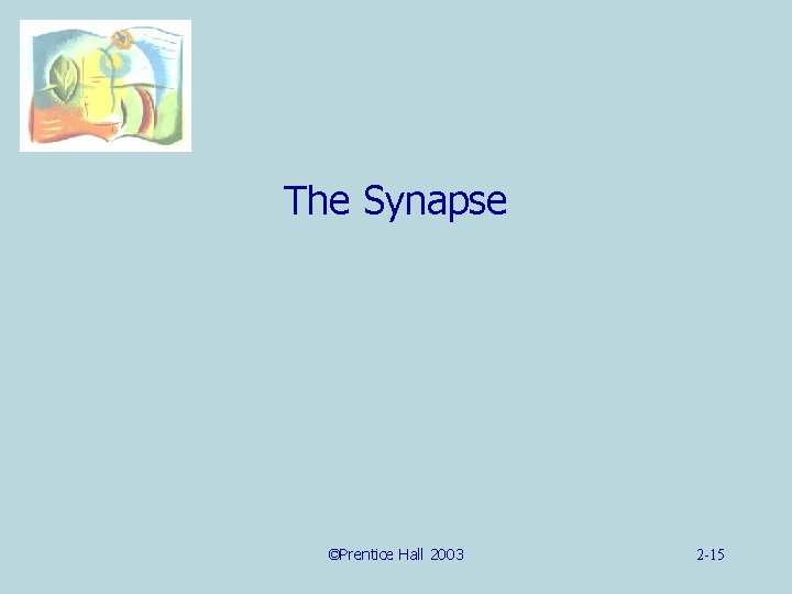 The Synapse ©Prentice Hall 2003 2 -15 