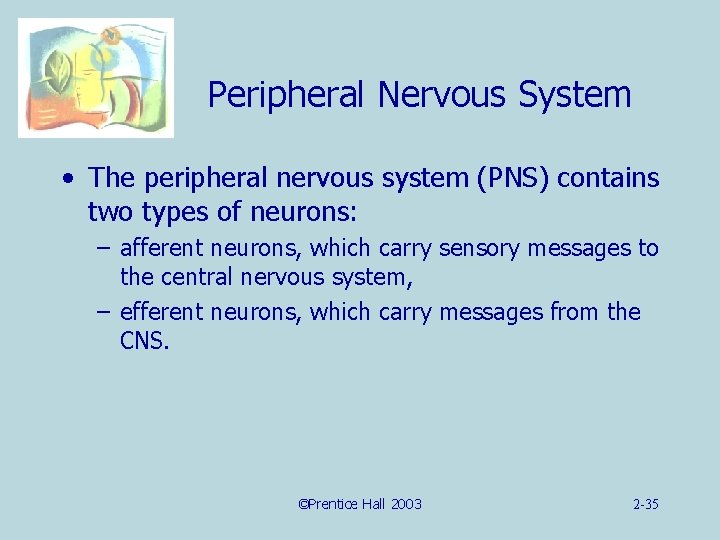 Peripheral Nervous System • The peripheral nervous system (PNS) contains two types of neurons: