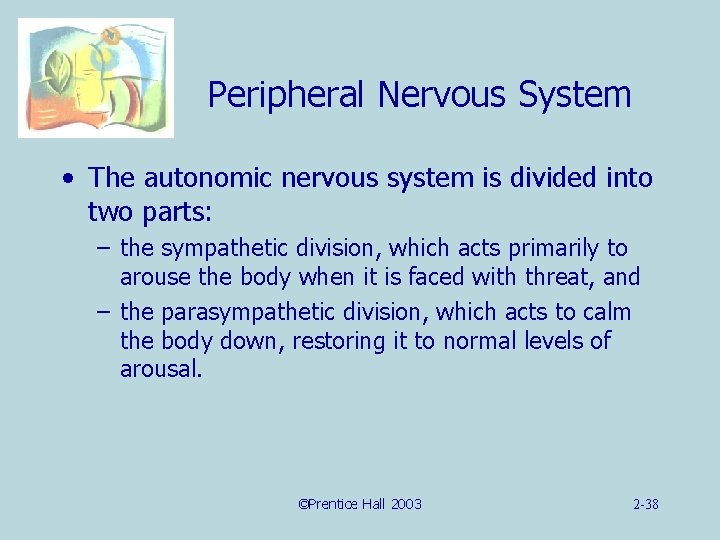 Peripheral Nervous System • The autonomic nervous system is divided into two parts: –