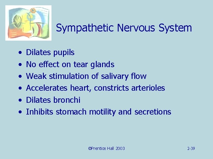 Sympathetic Nervous System • • • Dilates pupils No effect on tear glands Weak