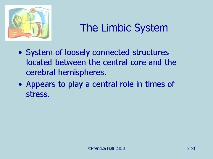 The Limbic System • System of loosely connected structures located between the central core