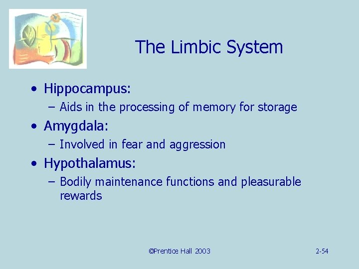 The Limbic System • Hippocampus: – Aids in the processing of memory for storage