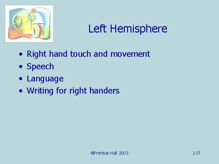 Left Hemisphere • • Right hand touch and movement Speech Language Writing for right