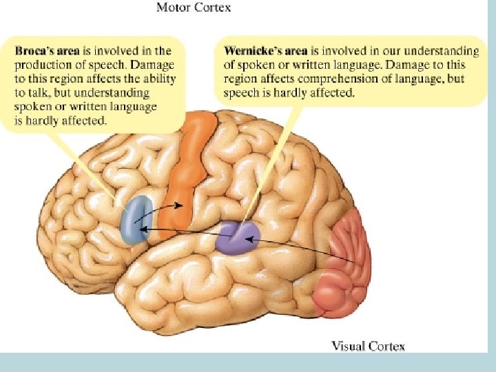 ©Prentice Hall 2003 2 -58 