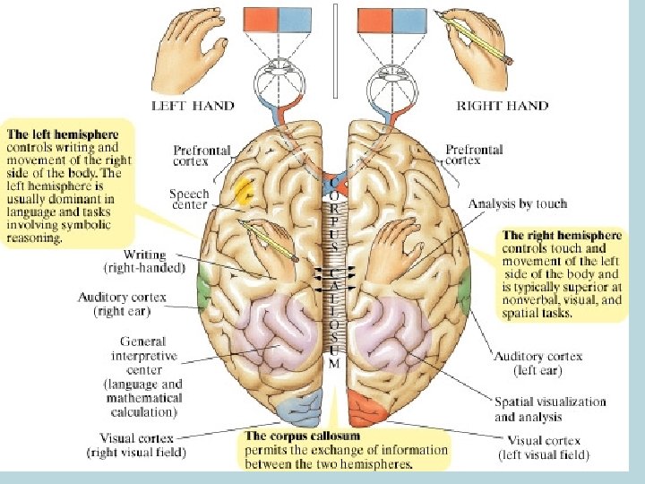 ©Prentice Hall 2003 2 -60 