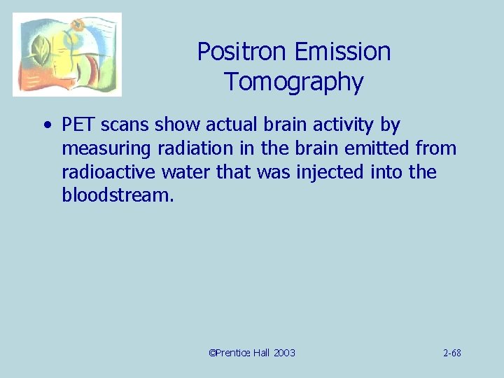 Positron Emission Tomography • PET scans show actual brain activity by measuring radiation in