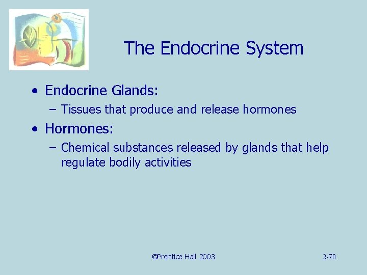 The Endocrine System • Endocrine Glands: – Tissues that produce and release hormones •