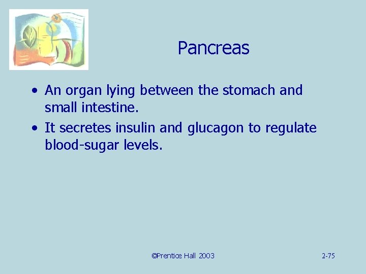 Pancreas • An organ lying between the stomach and small intestine. • It secretes