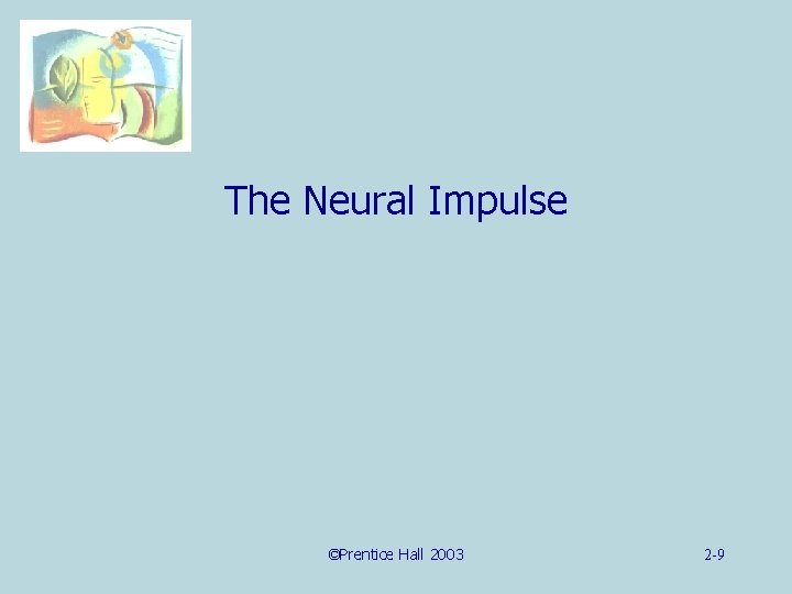 The Neural Impulse ©Prentice Hall 2003 2 -9 