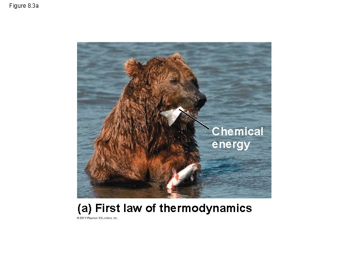 Figure 8. 3 a Chemical energy (a) First law of thermodynamics 