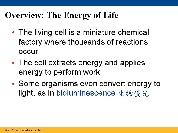 Overview: The Energy of Life • The living cell is a miniature chemical factory