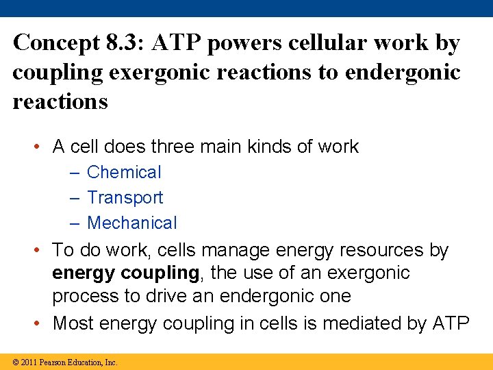 Concept 8. 3: ATP powers cellular work by coupling exergonic reactions to endergonic reactions