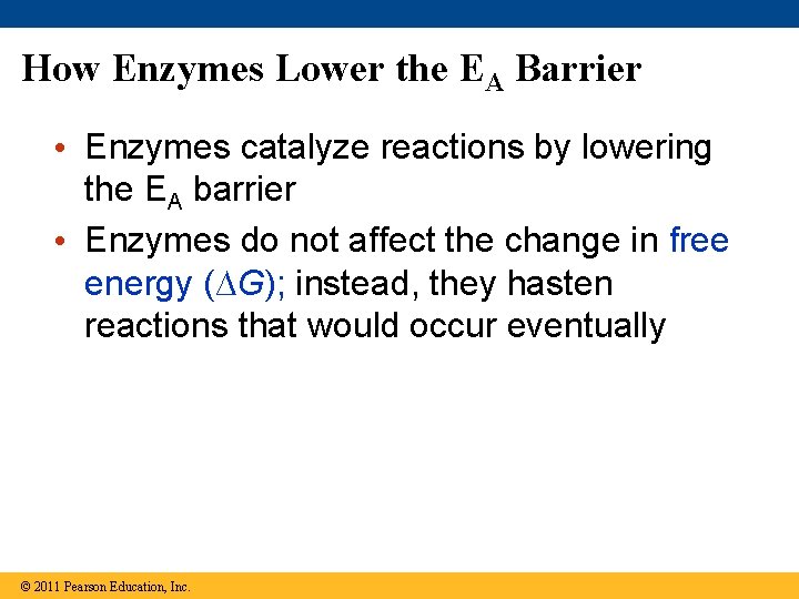 How Enzymes Lower the EA Barrier • Enzymes catalyze reactions by lowering the EA