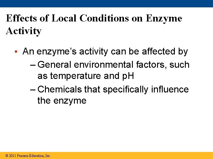 Effects of Local Conditions on Enzyme Activity • An enzyme’s activity can be affected