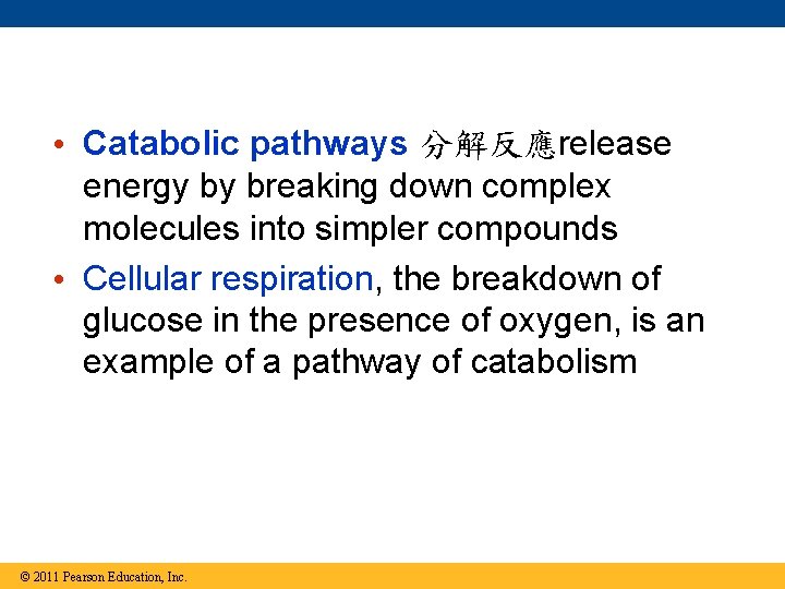  • Catabolic pathways 分解反應release energy by breaking down complex molecules into simpler compounds