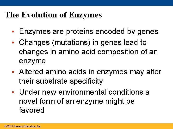 The Evolution of Enzymes • Enzymes are proteins encoded by genes • Changes (mutations)