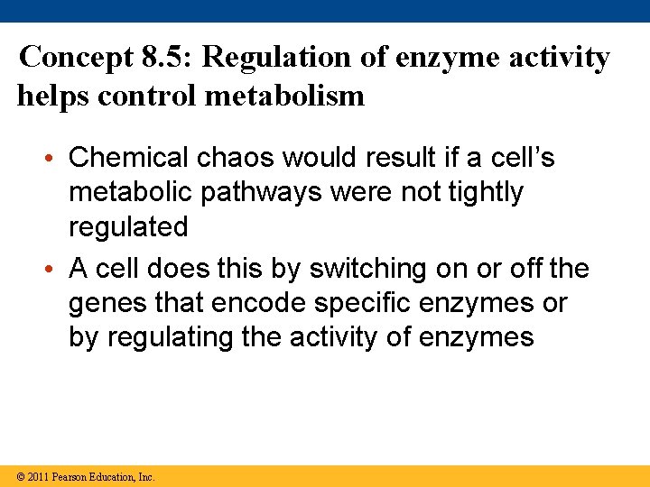 Concept 8. 5: Regulation of enzyme activity helps control metabolism • Chemical chaos would