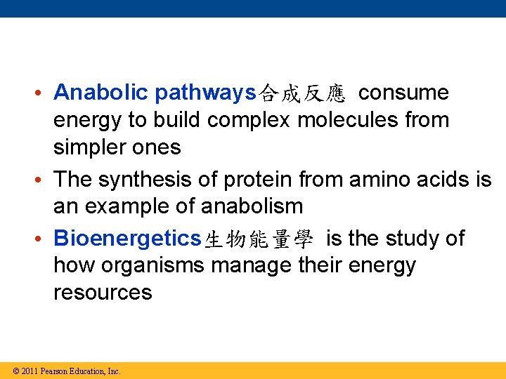  • Anabolic pathways合成反應 consume energy to build complex molecules from simpler ones •