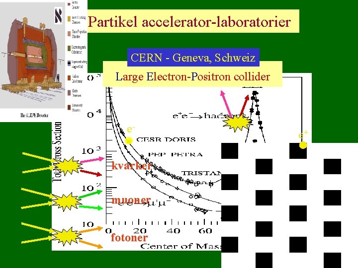 Partikel accelerator-laboratorier CERN - Geneva, Schweiz Large Electron-Positron collider ekvarker muoner fotoner e+ 