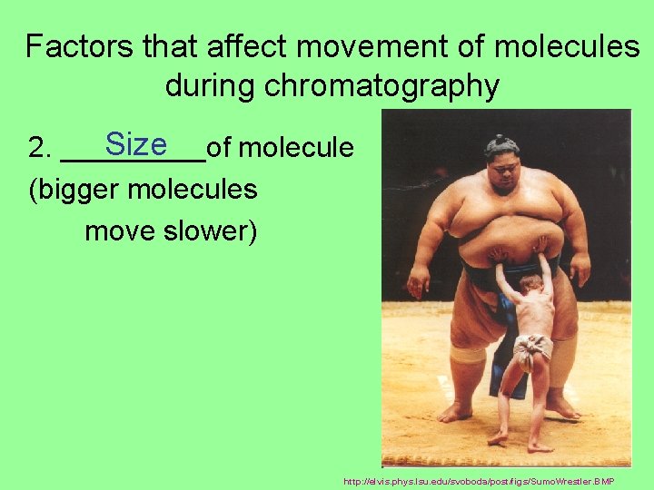 Factors that affect movement of molecules during chromatography Size 2. _____of molecule (bigger molecules