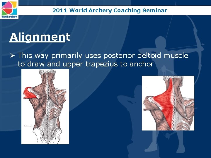 2011 World Archery Coaching Seminar Alignment Ø This way primarily uses posterior deltoid muscle